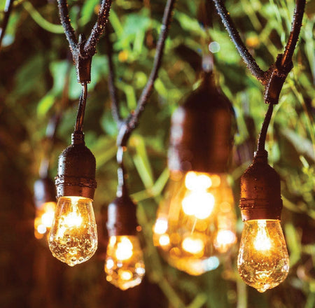 48 Foot Outdoor Weatherproof String Lights with 15 Incandescent Bulbs