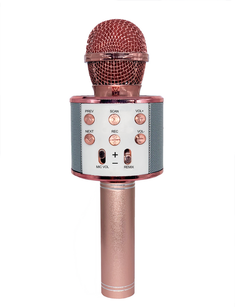 Bluetooth Karaoke Speaker Microphone – Gabba Goods