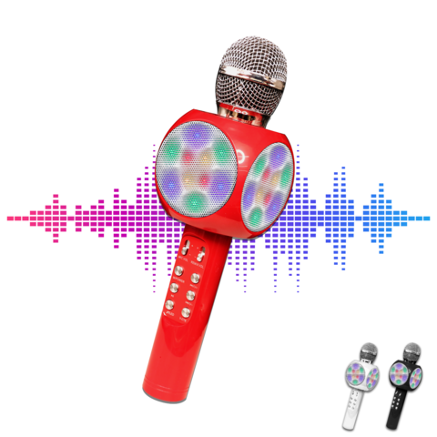 Karaoke ECHO Microphone 