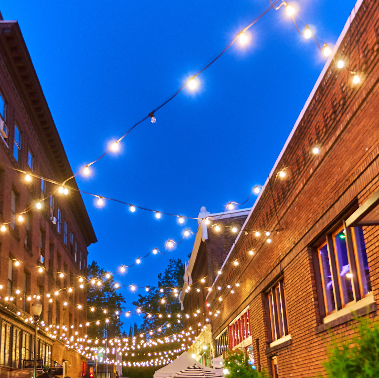Weatherproof String 48 Foot Outdoor Weatherproof String Lights with 15 Incandescent Bulbs ...